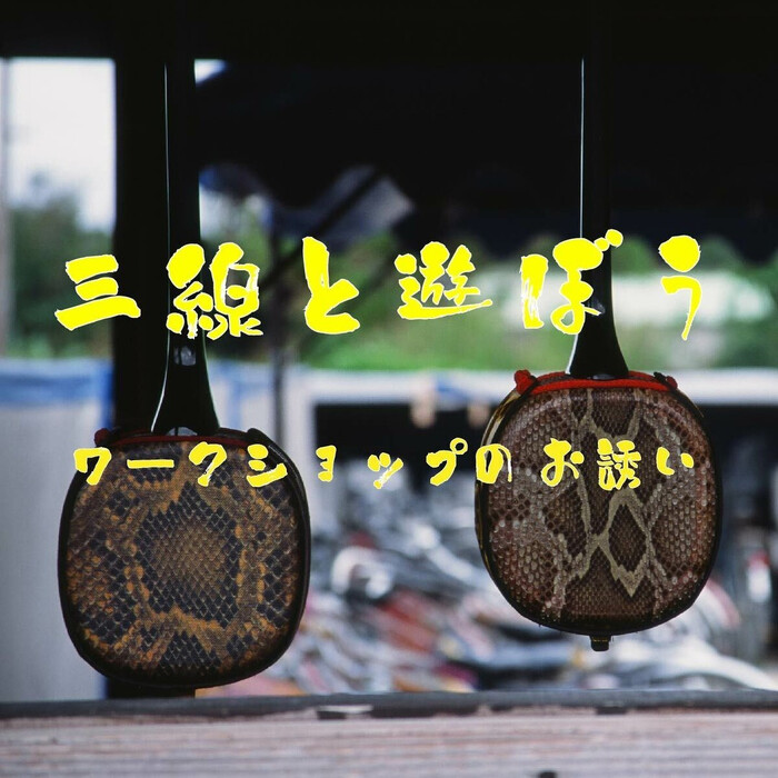 画像253